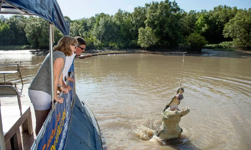 Jumping Crocodile Cruise from Darwin | Experience Oz