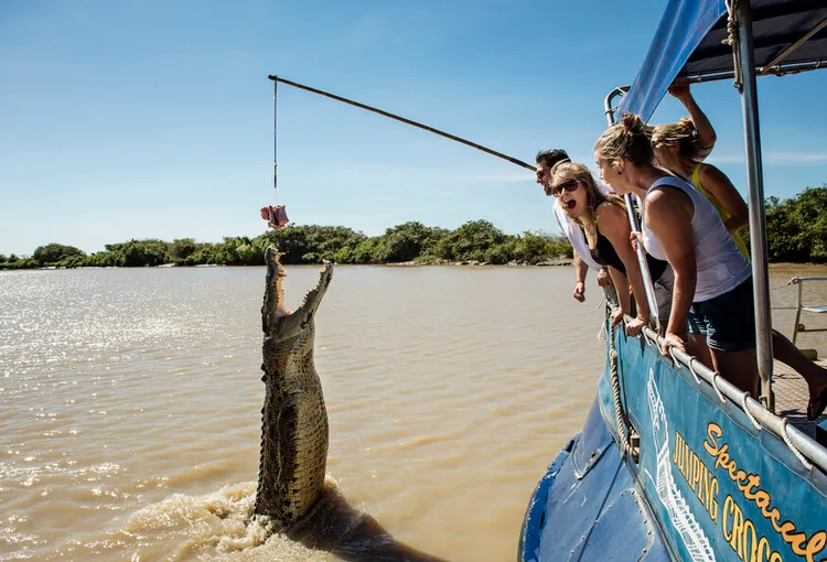 Jumping Crocodile Cruise from Darwin | Experience Oz