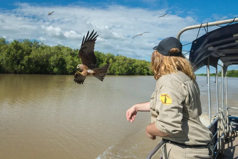 Jumping Crocodile Cruise from Darwin | Experience Oz