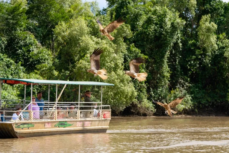 Jumping Crocodile Cruise from Darwin | Experience Oz
