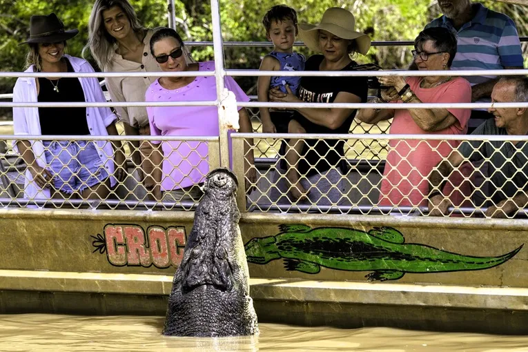 Jumping Crocodile Cruise from Darwin | Experience Oz