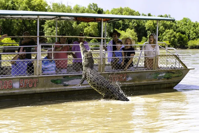Jumping Crocodile Cruise from Darwin | Experience Oz