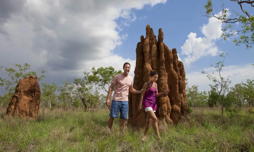 Kakadu Wilderness Day Trip From Darwin - Book Now | Experience Oz