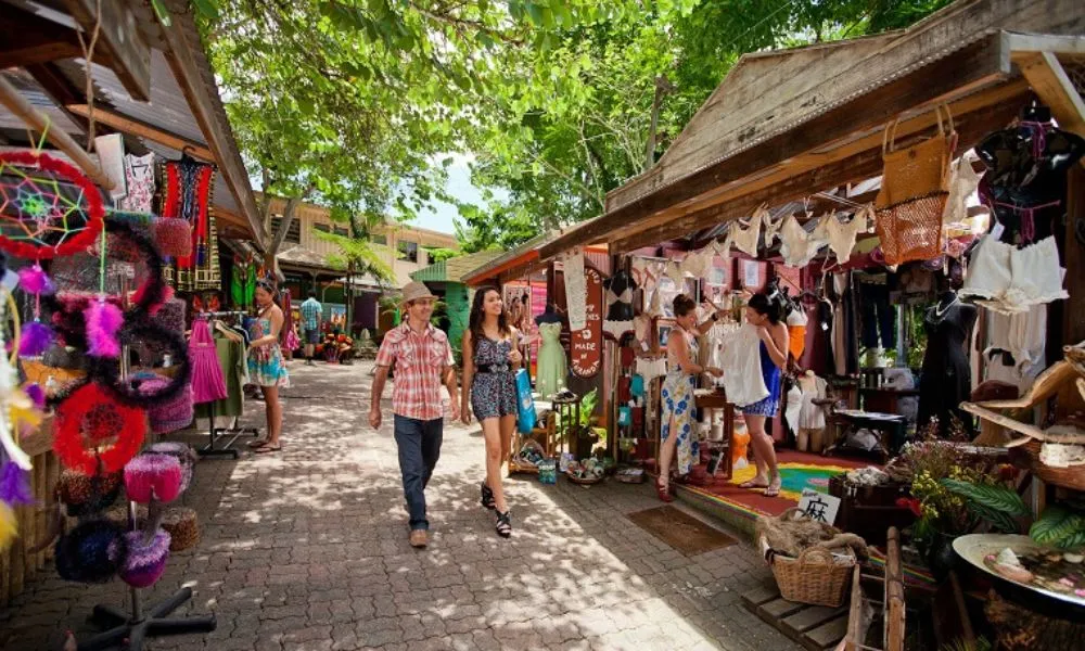 Kuranda Skyrail, Rainforestation & Scenic Rail | Experience Oz-4