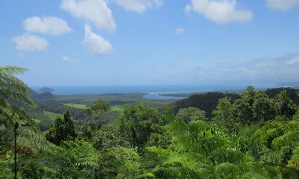 Daintree Rainforest & Cape Tribulation Tour via Mossman Gorge
