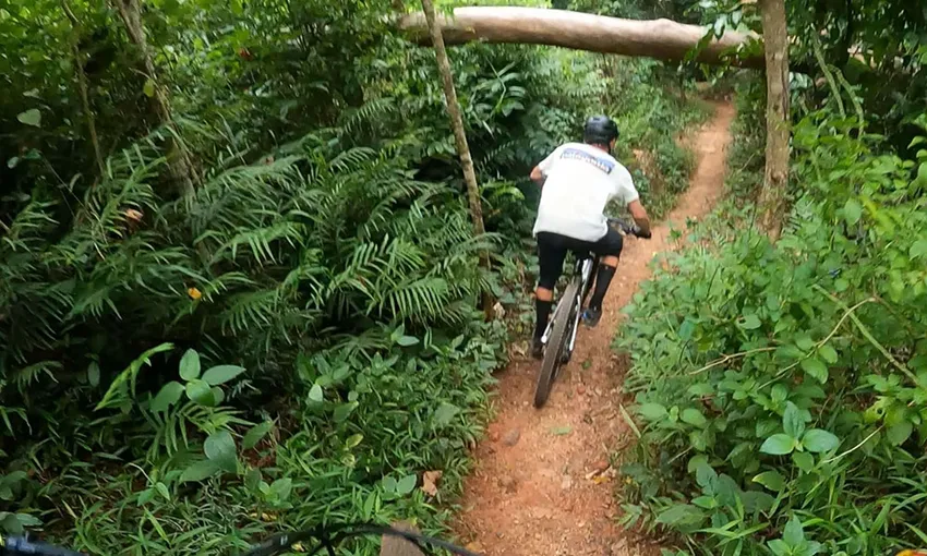 Hartley’s Falls e-Mountain Bike Tour, Full Day - Departing Palm Cove