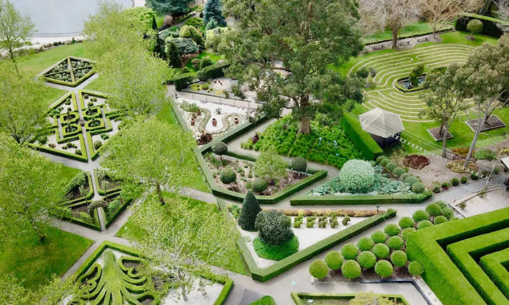 Enchanted Adventure Family Picnic & Play Package | Experience OZ-1