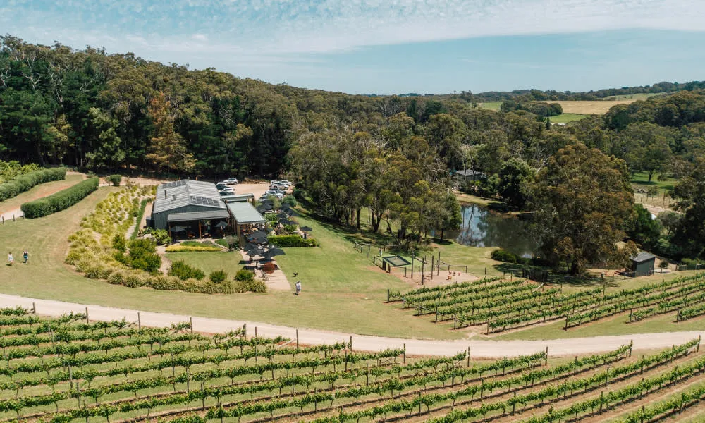 Enchanted Adventure Family Picnic & Play Package | Experience OZ-4