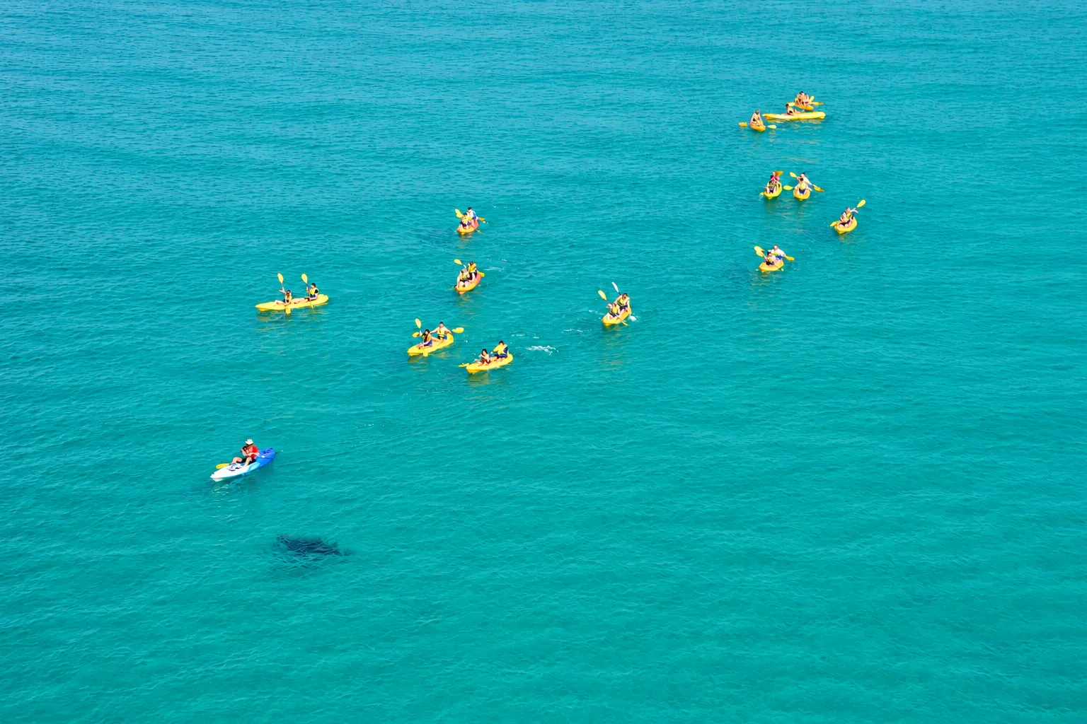 Dolphin Ocean Kayak Tour & Beach 4X4 Adventure - Noosa - Book Now | Experience Oz-9