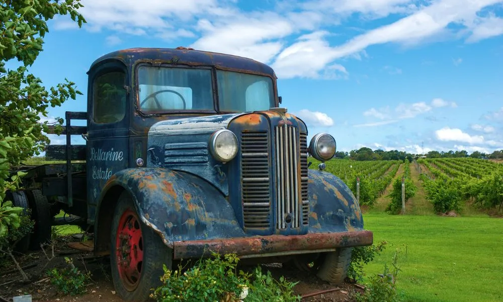 Bellarine Estate Texas BBQ Lunch with Glass of Wine - For 2 | Experience Oz-6