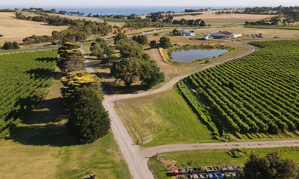 Bellarine Estate Texas BBQ Dinner - For 2 | Experience Oz-3