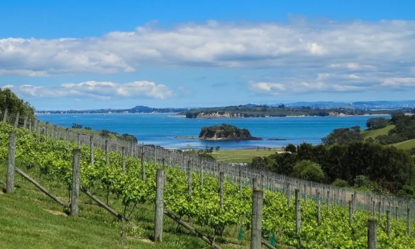Taste of Waiheke Food and Wine Tour | Experience Oz
