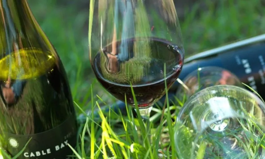 Taste of Waiheke Food and Wine Tour | Experience Oz