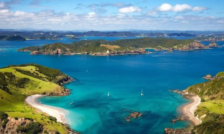 Taste of Waiheke Food and Wine Tour | Experience Oz