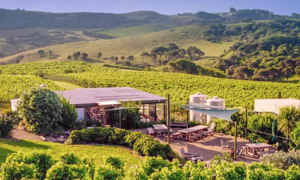Waiheke Island Day Tour with Lunch - Book Now  | Experience Oz-5