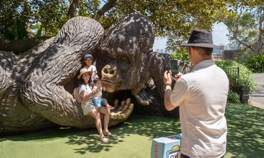Taronga Zoo Entry and 1-Day Harbour Ferry Pass | Experience Oz