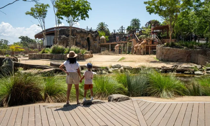 Taronga Zoo Entry and 1-Day Harbour Ferry Pass | Experience Oz