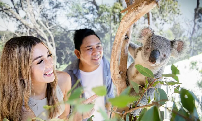 Sydney Zoo Admission Tickets - Book Now | Experience OZ
