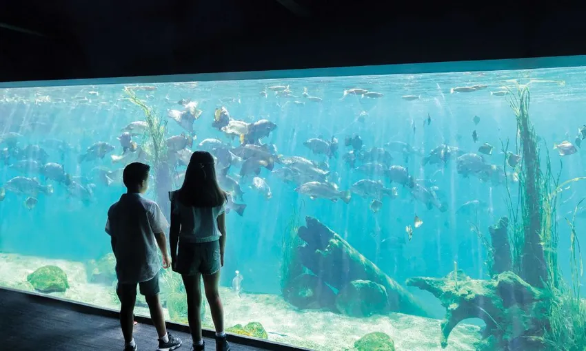 Sydney Zoo Admission Tickets - Book Now | Experience OZ