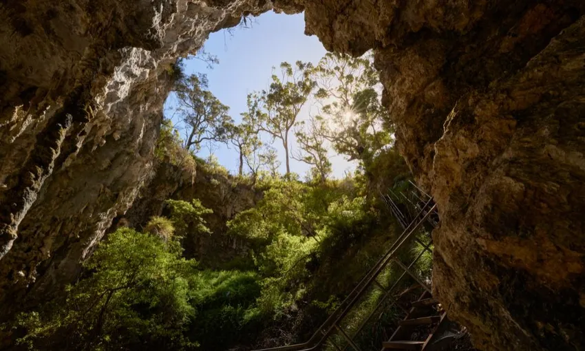 Margaret River Mammoth Caves Tour - Book Now | Experience Oz