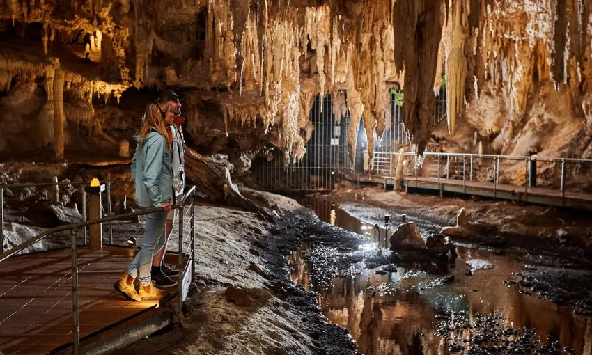 Margaret River Mammoth Caves Tour - Book Now | Experience Oz