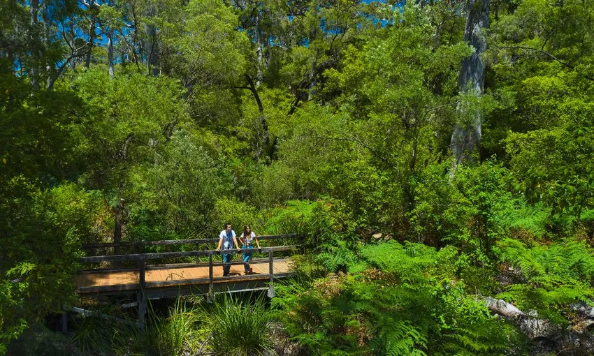 Margaret River Mammoth Caves Tour - Book Now | Experience Oz