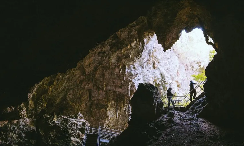 Margaret River Mammoth Caves Tour - Book Now | Experience Oz