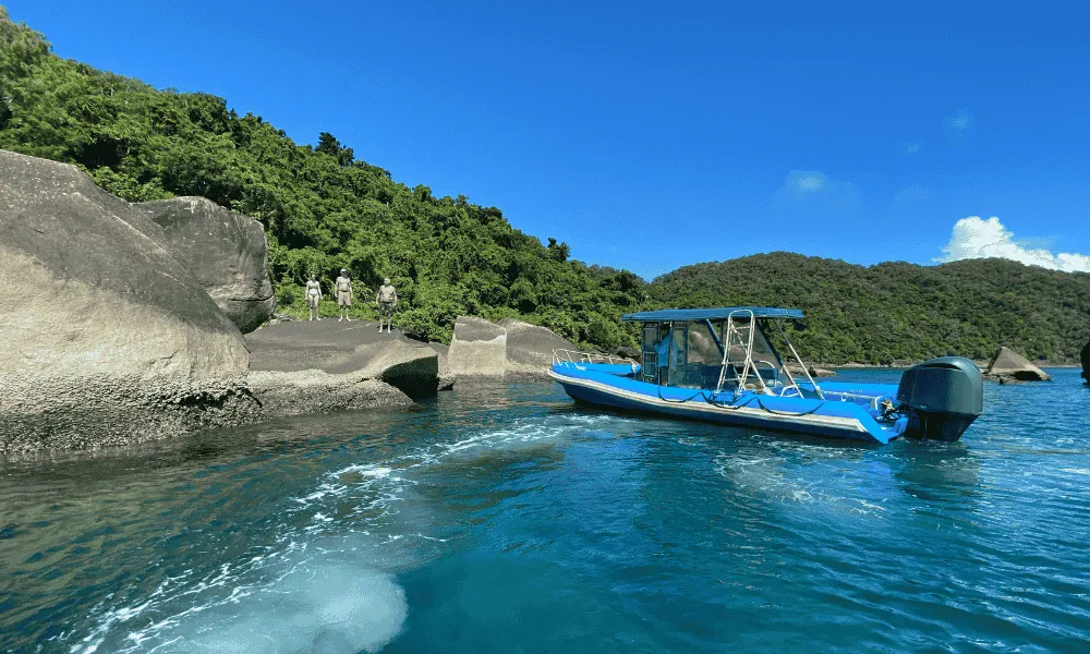 Dunk Island Half Day Tour from Mission Beach | Experience Oz-7