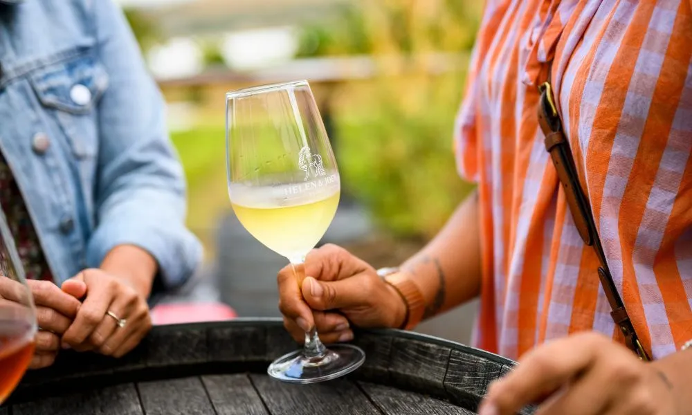 Yarra Valley Afternoon Cellar Door Winery Tour - 5 Hours | Experience Oz-5