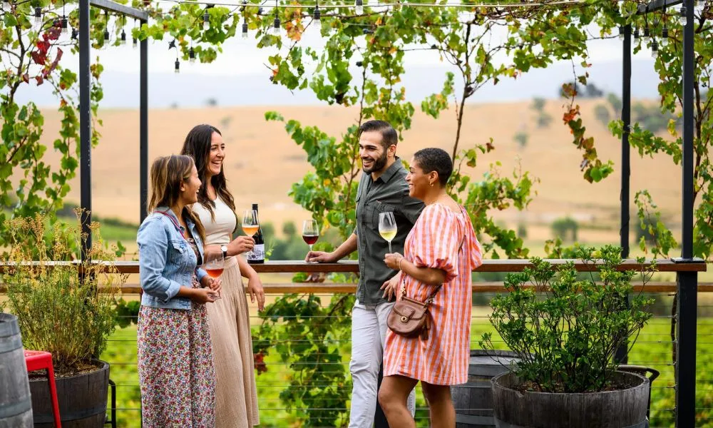 Yarra Valley Afternoon Cellar Door Winery Tour - 5 Hours | Experience Oz-1