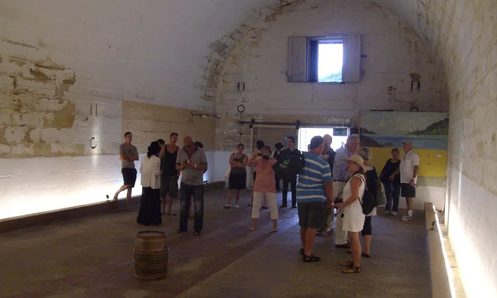 Convict, Castles and Champagne Cruise Sydney | Experience Oz-2