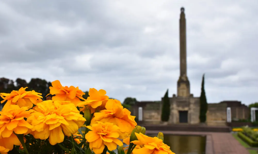 Auckland Luxury Half Day Tour - Book Now | Experience Oz-5