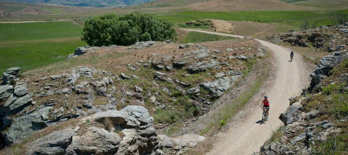 1 Day Lake Dunstan Cycling Tour - Book Now | Experience Oz-4