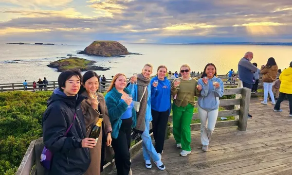 Phillip Island Wine Wildlife and Penguins Tour - Full Day
