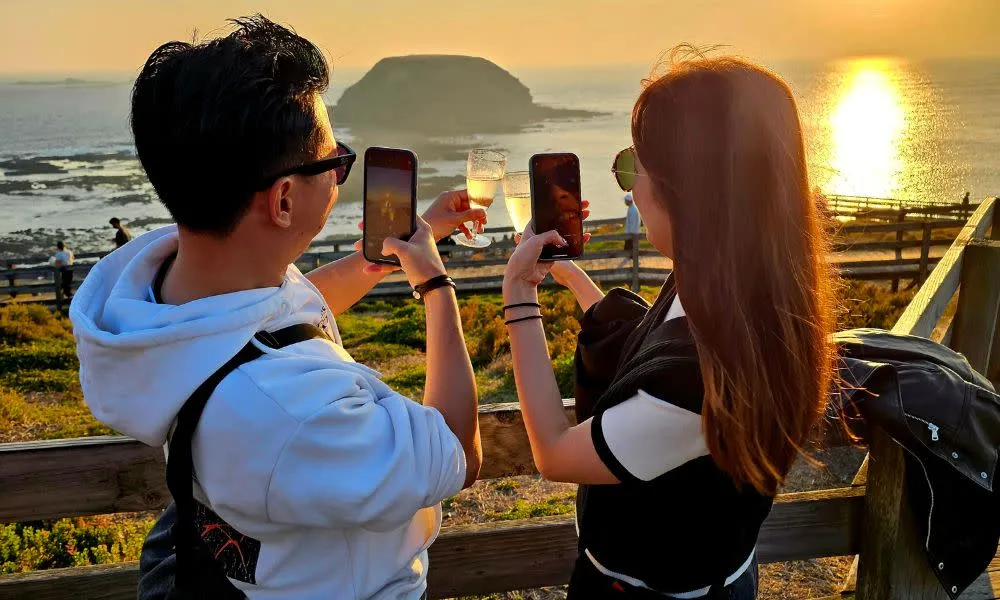 Phillip Island Wine Wildlife and Penguins Tour - from Melbourne | Experience Oz-2