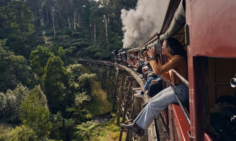 Puffing Billy Train and Penguins Day Tour | Experience OZ-1