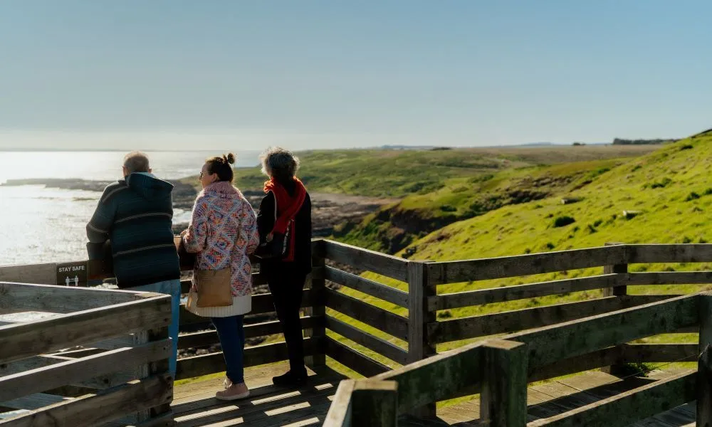 Puffing Billy Train and Penguins Day Tour | Experience OZ-5