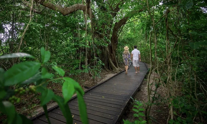 Full Day Great Barrier Reef & Green Island Combo