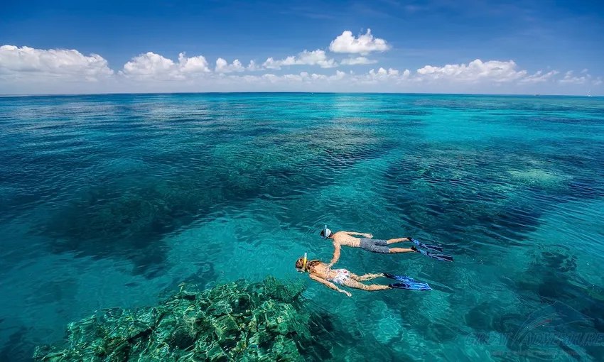 Full Day Great Barrier Reef & Green Island Combo