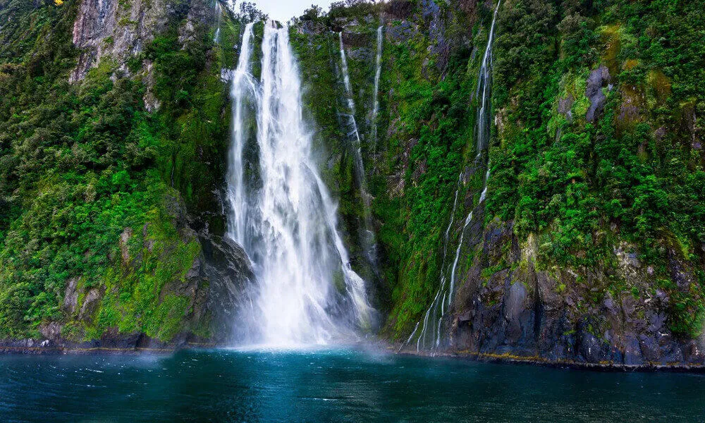 Milford Sound Tour From Queenstown - Book Now | Experience Oz-3