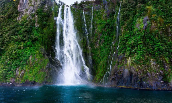 Milford Sound Small Group Day Tour with Cruise from Queenstown
