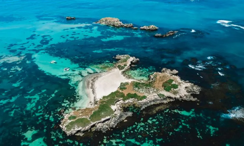 Dolphin & Sea Lion Snorkel Cruise - Lunch Included, 2.5 Hours - Perth