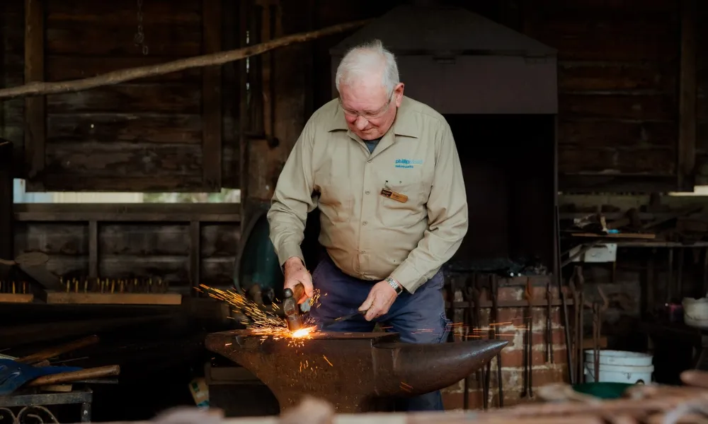 Phillip Island Penguin Parade and Churchill Island Farm Bus Tour-3