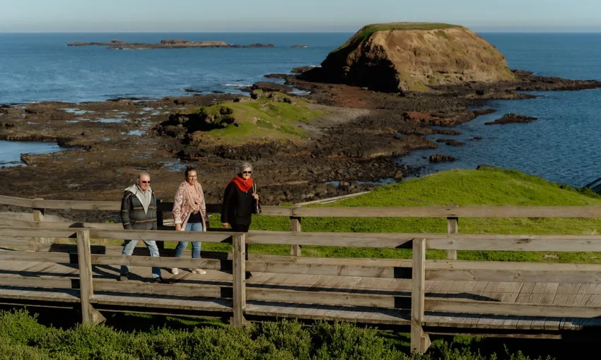 Phillip Island Penguin Parade and Churchill Island Farm Bus Tour