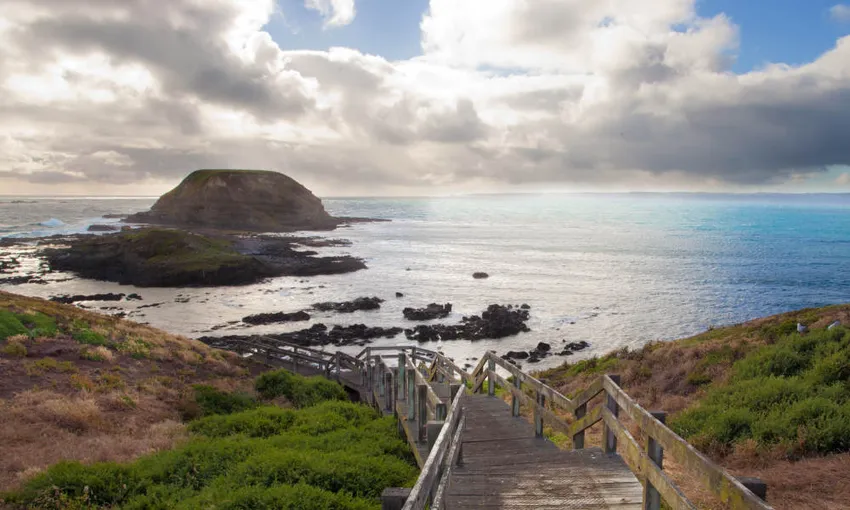 Phillip Island and Healesville Sanctuary Tour | Experience Oz