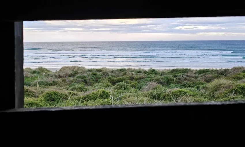 Otago Peninsula Wildlife & Penguin Tour | Experience Oz + NZ