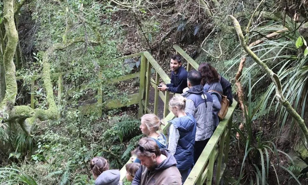 Otago Peninsula Wildlife & Penguin Tour | Experience Oz + NZ-6