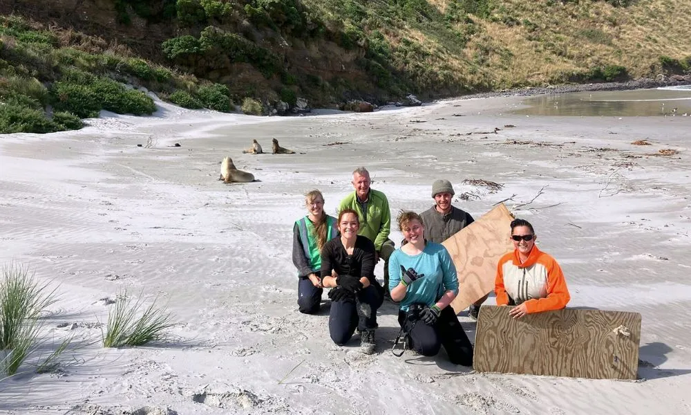 Otago Peninsula Wildlife & Penguin Tour | Experience Oz + NZ-7