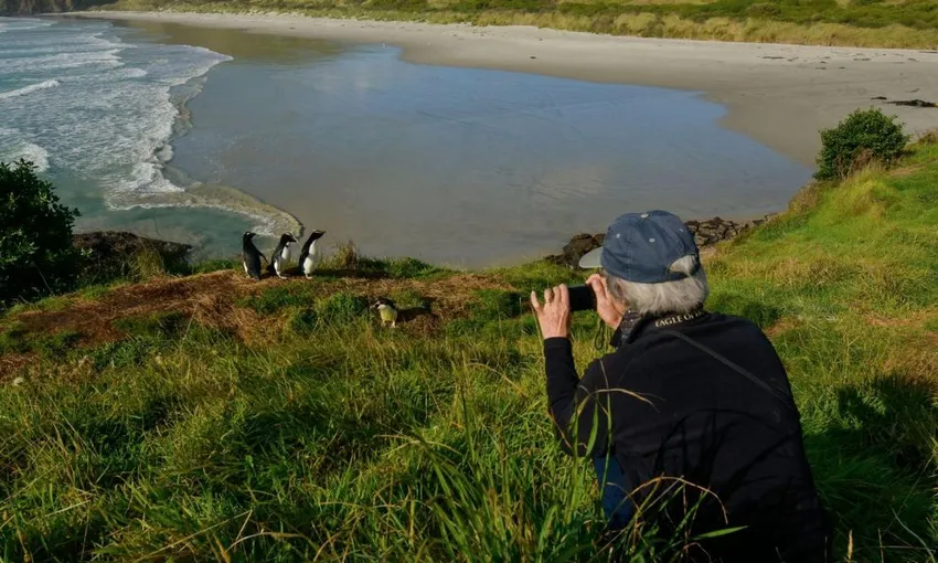 Otago Peninsula Wildlife & Penguin Tour | Experience Oz + NZ