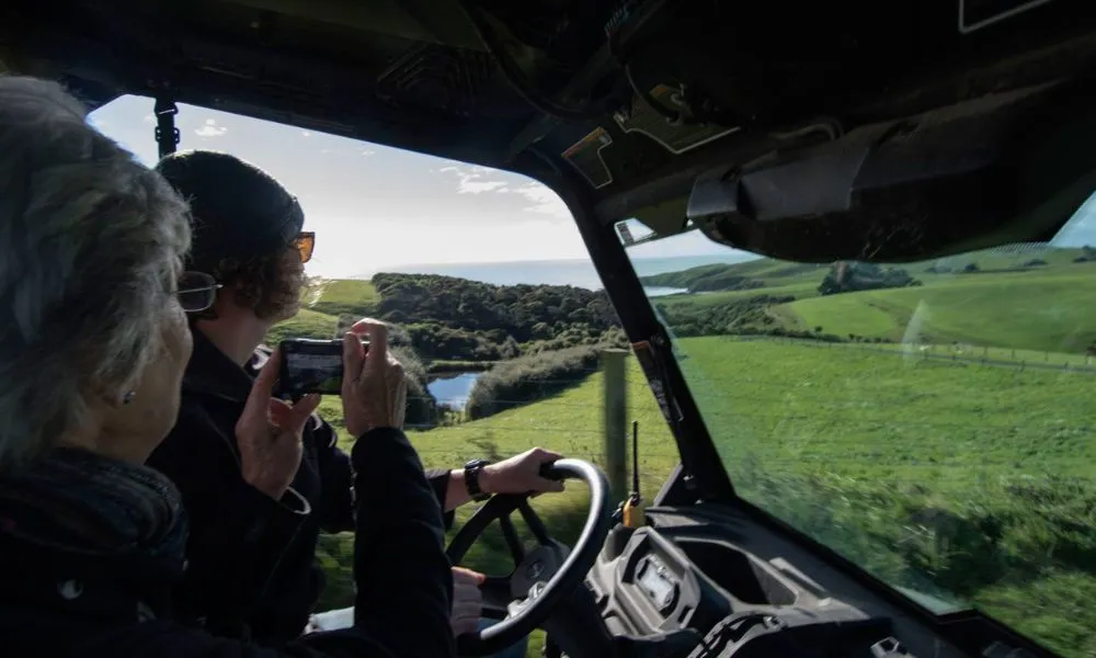 Otago Peninsula Wildlife & Penguin Tour | Experience Oz + NZ-9